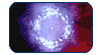 Animations and Video!