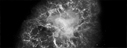 Neutron Stars