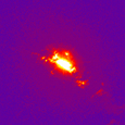 NGC 4151, Optical