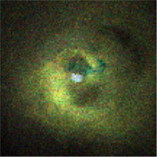Perseus Galaxy Cluster