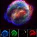 Kepler's Supernova Remnant