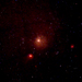 Fornax Cluster