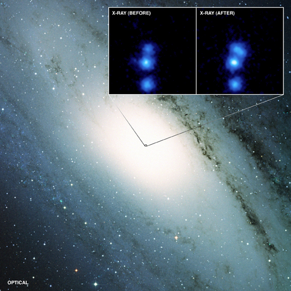 M31