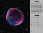 SN 1006