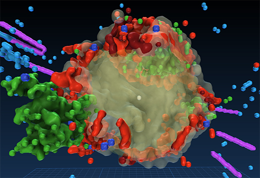 Cassiopeia A - 3D