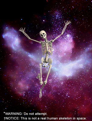 Skeleton in space