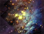 Brown Dwarfs in Orion (Hubble)