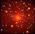 Galaxy Cluster