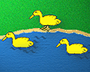 ducks