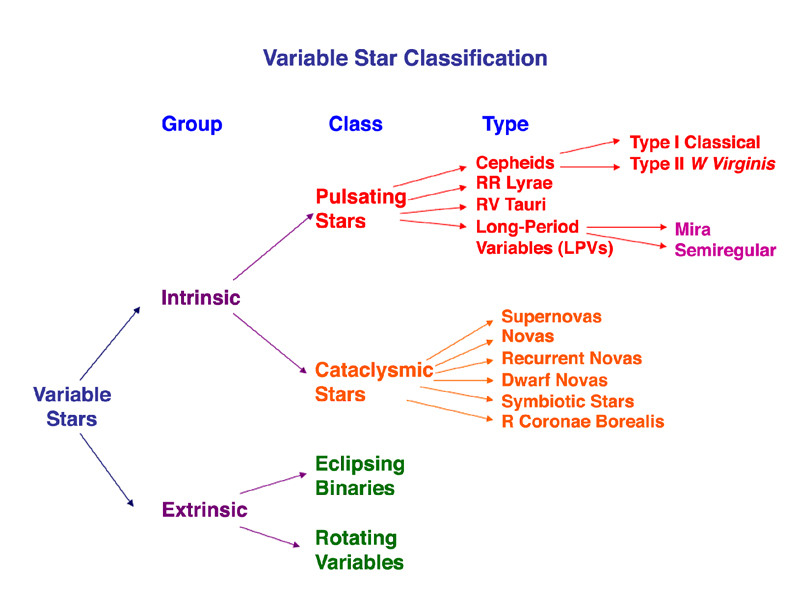 Major Branches on the H-R Diagram