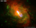 Thumbnail of NGC 1068
