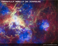 Thumbnail of Tarantula Nebula