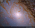 Thumbnail of M31