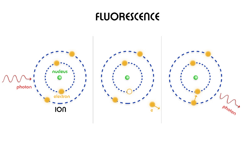 fluorescence