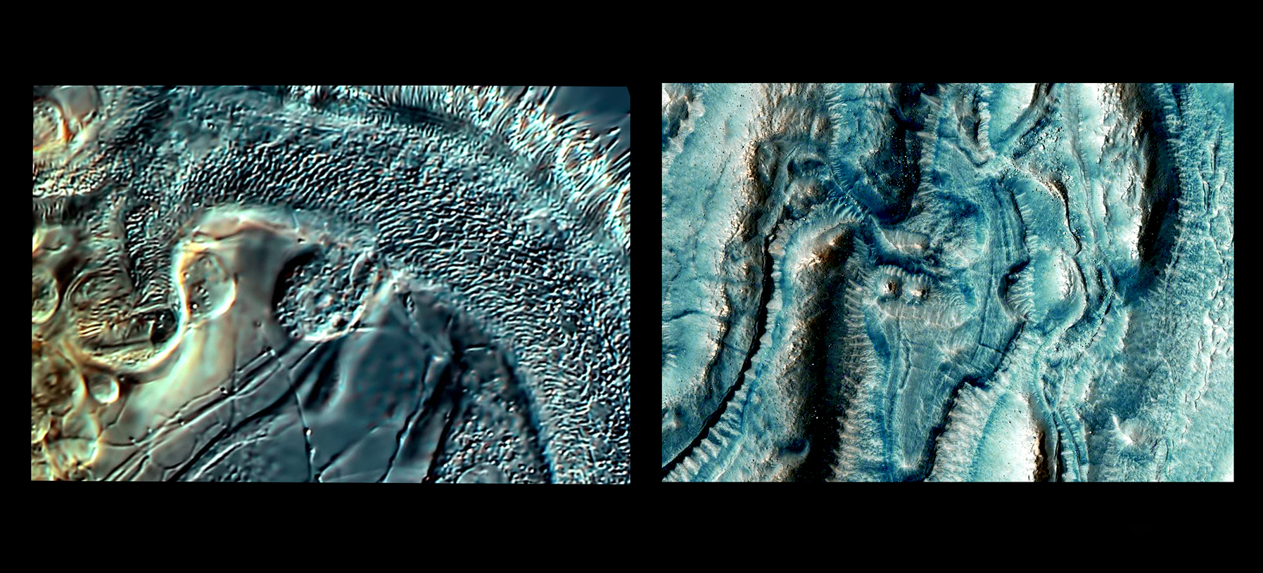 Tiny Wheel Animal vs. Flowing Deposits on Mars