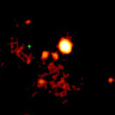 M82 Black Hole