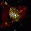 Chandra Catches Milky Way Monster Snacking