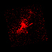Click for large jpg