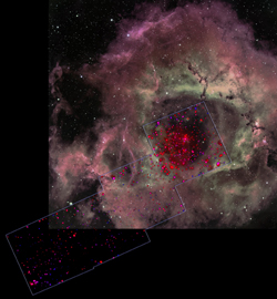 Rosette Nebula Optical/X-ray Composite