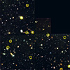 Hubble Deep Field-North with X-ray Identifications 