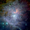 Orion Nebula Infrared