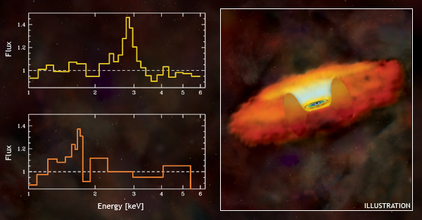 Iron Spectra from Supermassive Black Holes