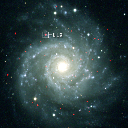 M74