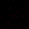 M74