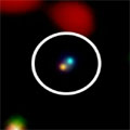 Submillimeter Galaxies in the Chandra Deep Field-North (SMG 123616.1+621513)  Animation