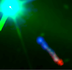 Composite showing the relation between the quasar 3C273 and the jet