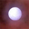 Click for high-resolution animation