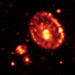 Click for large jpg
