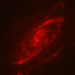 Click for large jpg