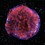 Tycho's Supernova Remnant