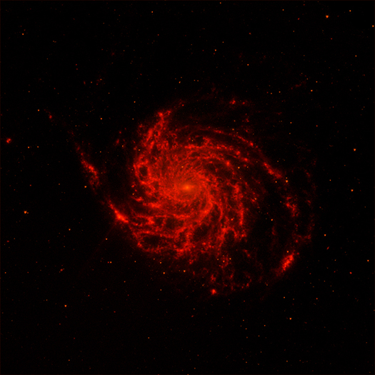 M101