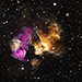 Hardy Star Survives Supernova Blast