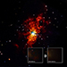 NASA's Chandra Observatory Searches for Trigger of Nearby Supernova 