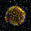 Tycho's Supernova Remnant