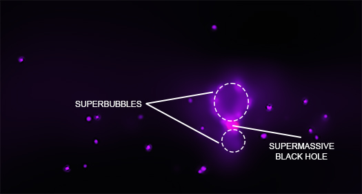 X-ray labeled image