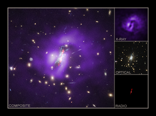 Multiwavelength labeled image