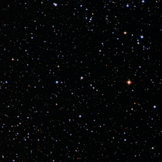 Tycho's Supernova Remnant