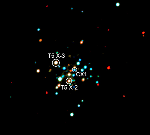 Terzan 5 labeled