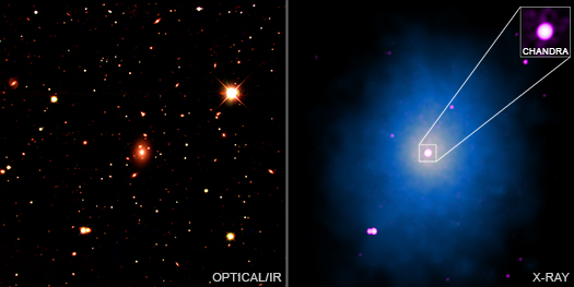 side by side image