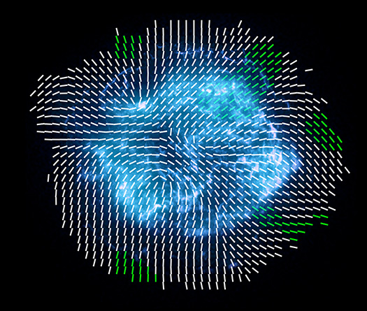 Image showing Cas A polarization vectors as an illustration on top of the composite image