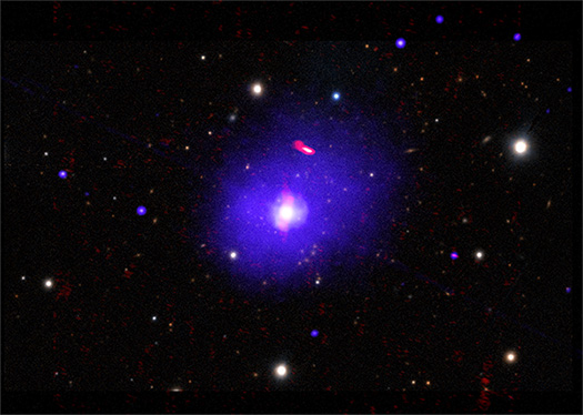 Image of h1821