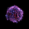 X-ray image