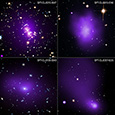 Photo of Brightest Cluster Galaxies Survey