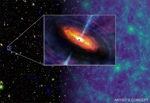 Supermassive Black Hole Survey