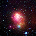 Westerlund 1