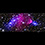 Bullet Cluster